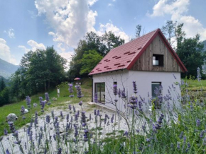 Holiday home Dreams